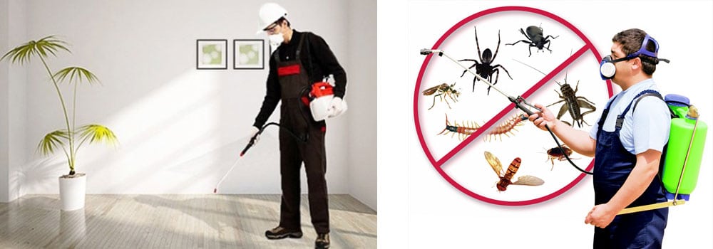 شركة مكافحة حشرات بالمزاحمية
